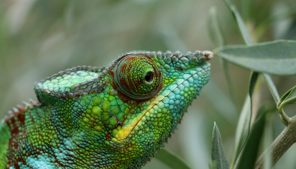 pierre-bamin-EBJ-EE-S6t8-unsplash